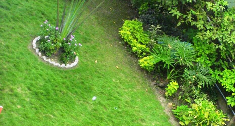 Hotel Monarch Aachal, Siliguri 4